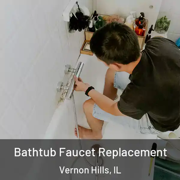  Bathtub Faucet Replacement Vernon Hills, IL