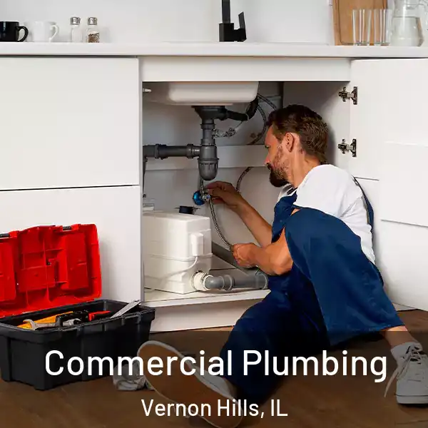  Commercial Plumbing Vernon Hills, IL