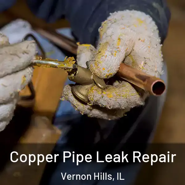  Copper Pipe Leak Repair Vernon Hills, IL