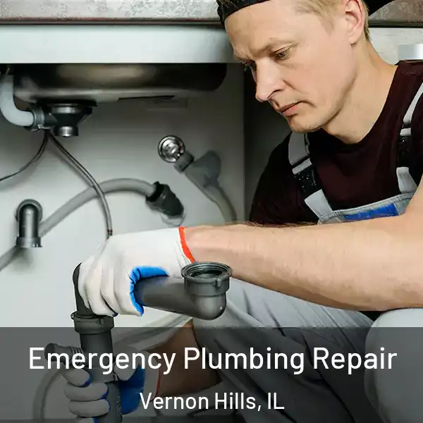  Emergency Plumbing Repair Vernon Hills, IL
