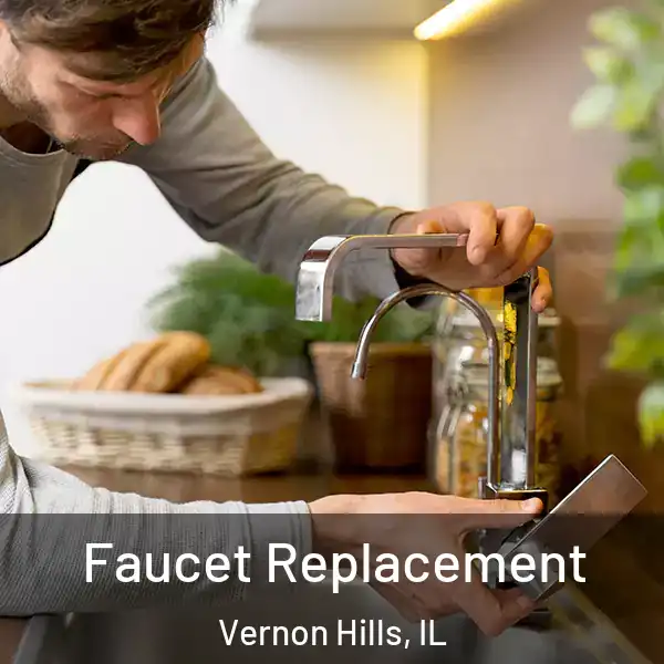  Faucet Replacement Vernon Hills, IL