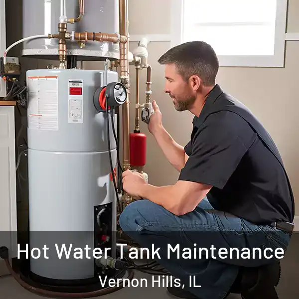  Hot Water Tank Maintenance Vernon Hills, IL