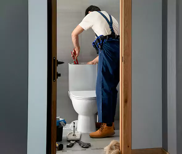 Professional Plumbers for Toilet Bowl Replacement in Vernon Hills, IL: Schedule Affordable Toilet Replacement Services With Us