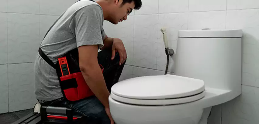Toilet Repair in Vernon Hills