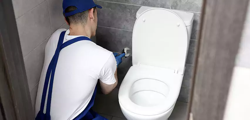 Toilet Lid Replacement in Vernon Hills