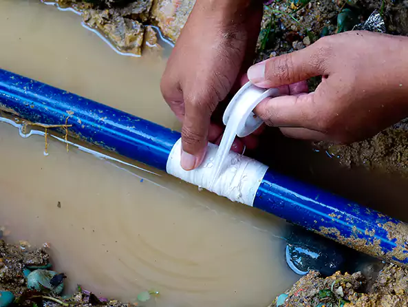  Why Choose Vernon Hills Plumbing Pro for Leak Detection in Vernon Hills, IL?]