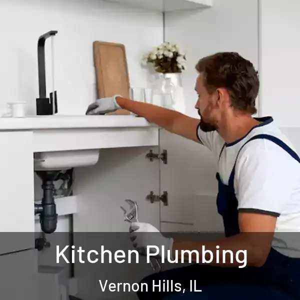  Kitchen Plumbing Vernon Hills, IL