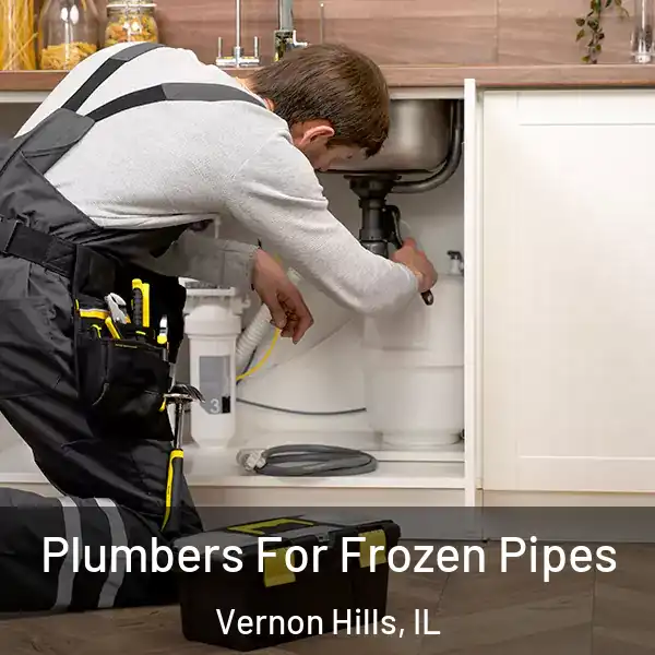  Plumbers For Frozen Pipes Vernon Hills, IL