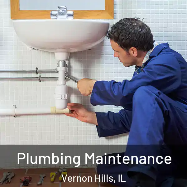  Plumbing Maintenance Vernon Hills, IL