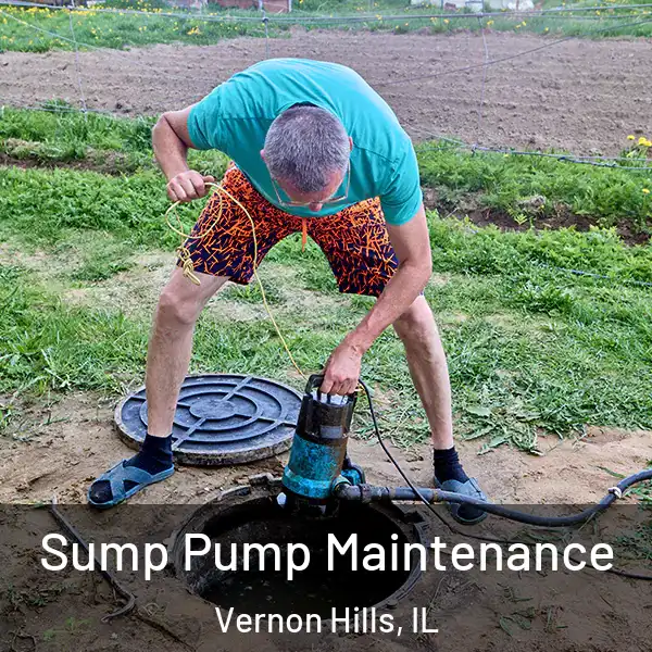  Sump Pump Maintenance Vernon Hills, IL