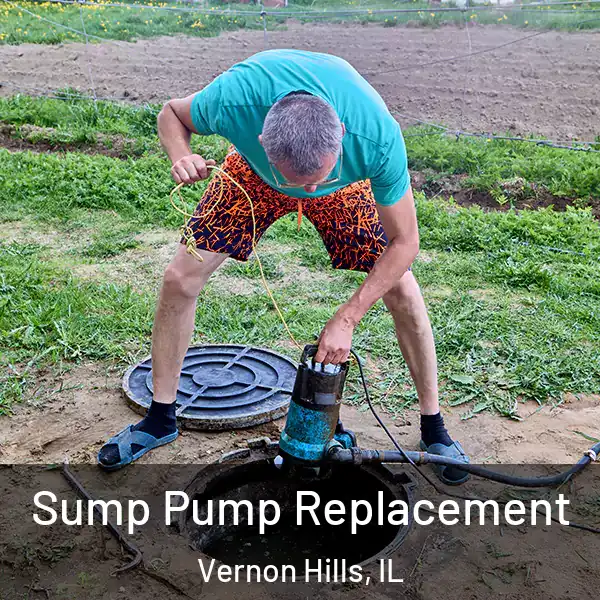  Sump Pump Replacement Vernon Hills, IL
