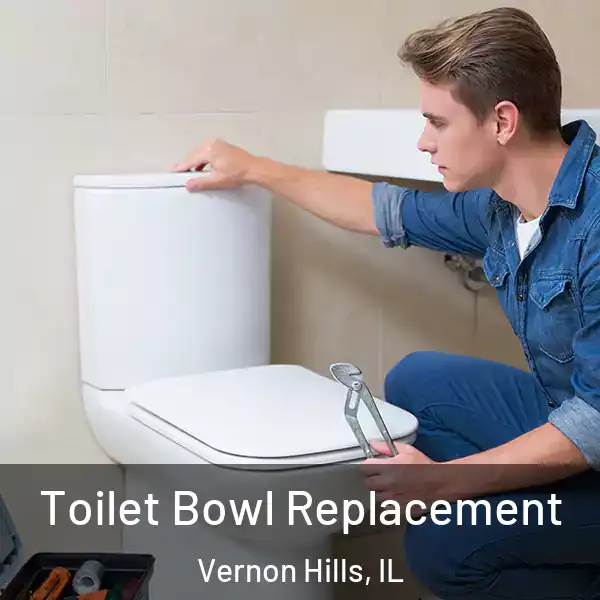  Toilet Bowl Replacement Vernon Hills, IL