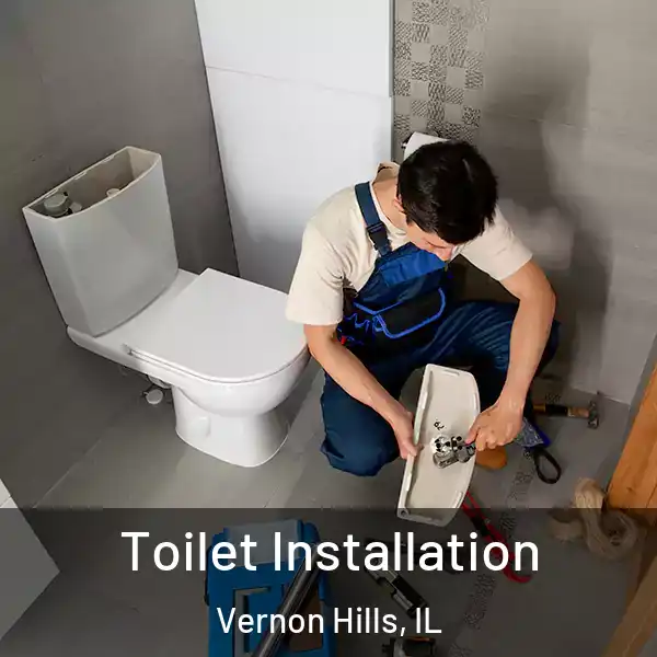  Toilet Installation Vernon Hills, IL