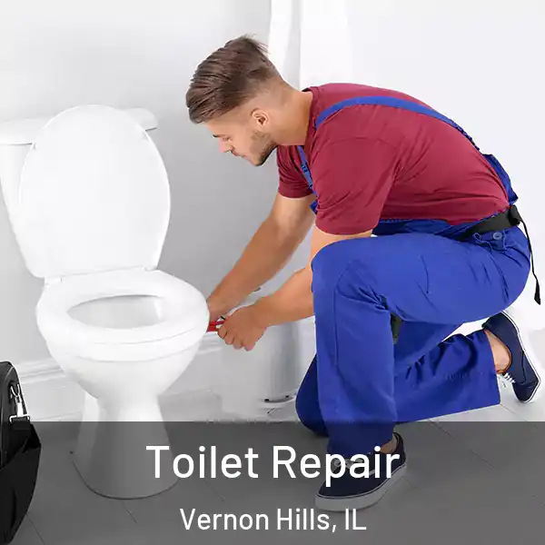  Toilet Repair Vernon Hills, IL
