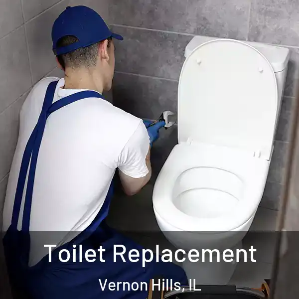  Toilet Replacement Vernon Hills, IL