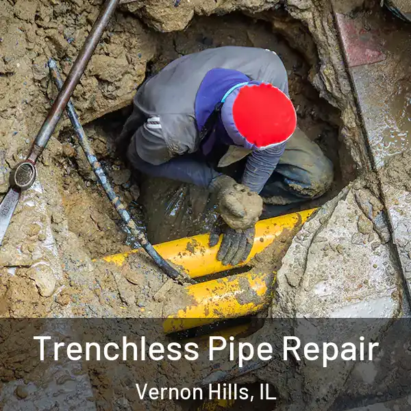  Trenchless Pipe Repair Vernon Hills, IL