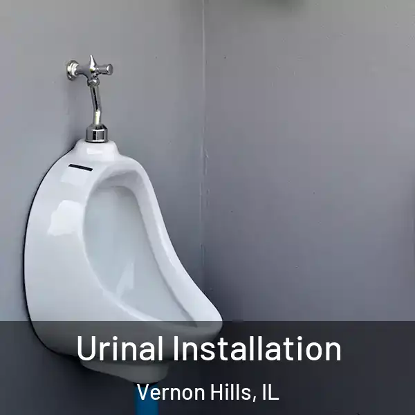  Urinal Installation Vernon Hills, IL