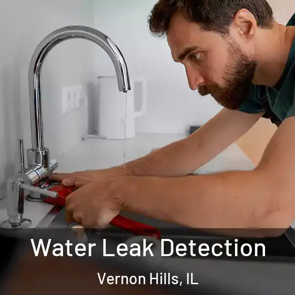  Water Leak Detection Vernon Hills, IL